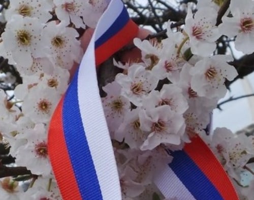 Своих не бросаем