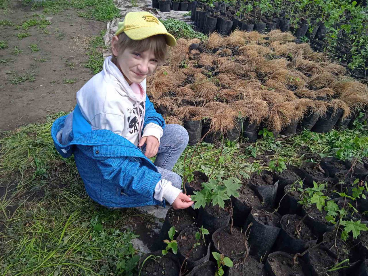 Сегодня, 24 мая, участники кружка "Юный цветовод" побывали на экскурсии в комплексе по выращиванию плодовых деревьев и садовых растений "Сады Зауралья".