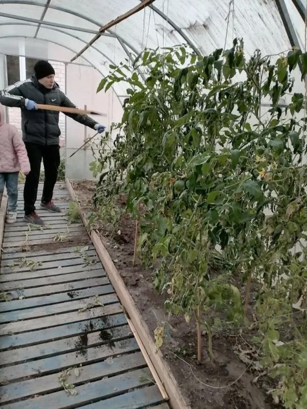 Привели теплицу и клумбы в порядок! 