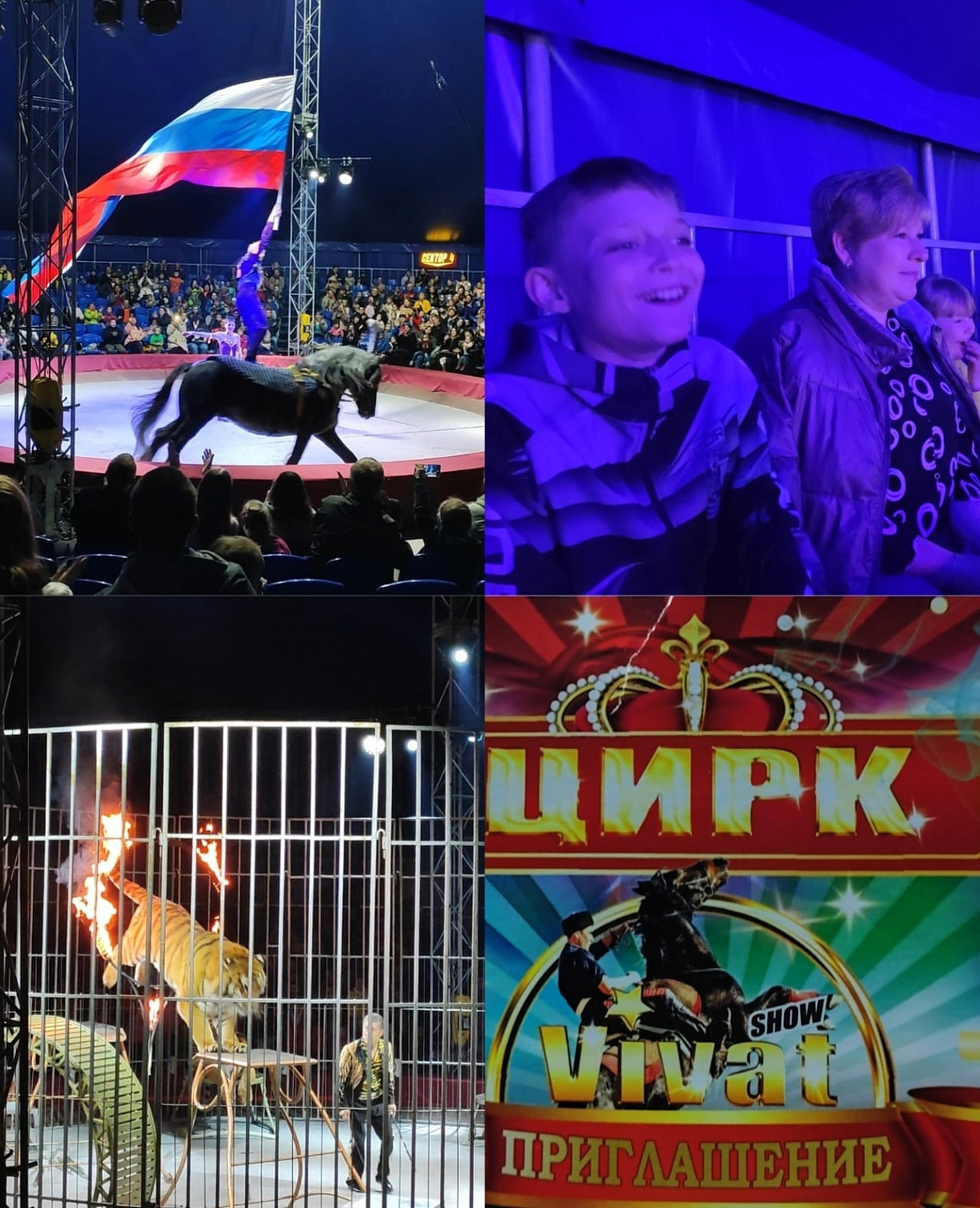 Сегодня наши воспитанники посетили представление цирка "Виват". 