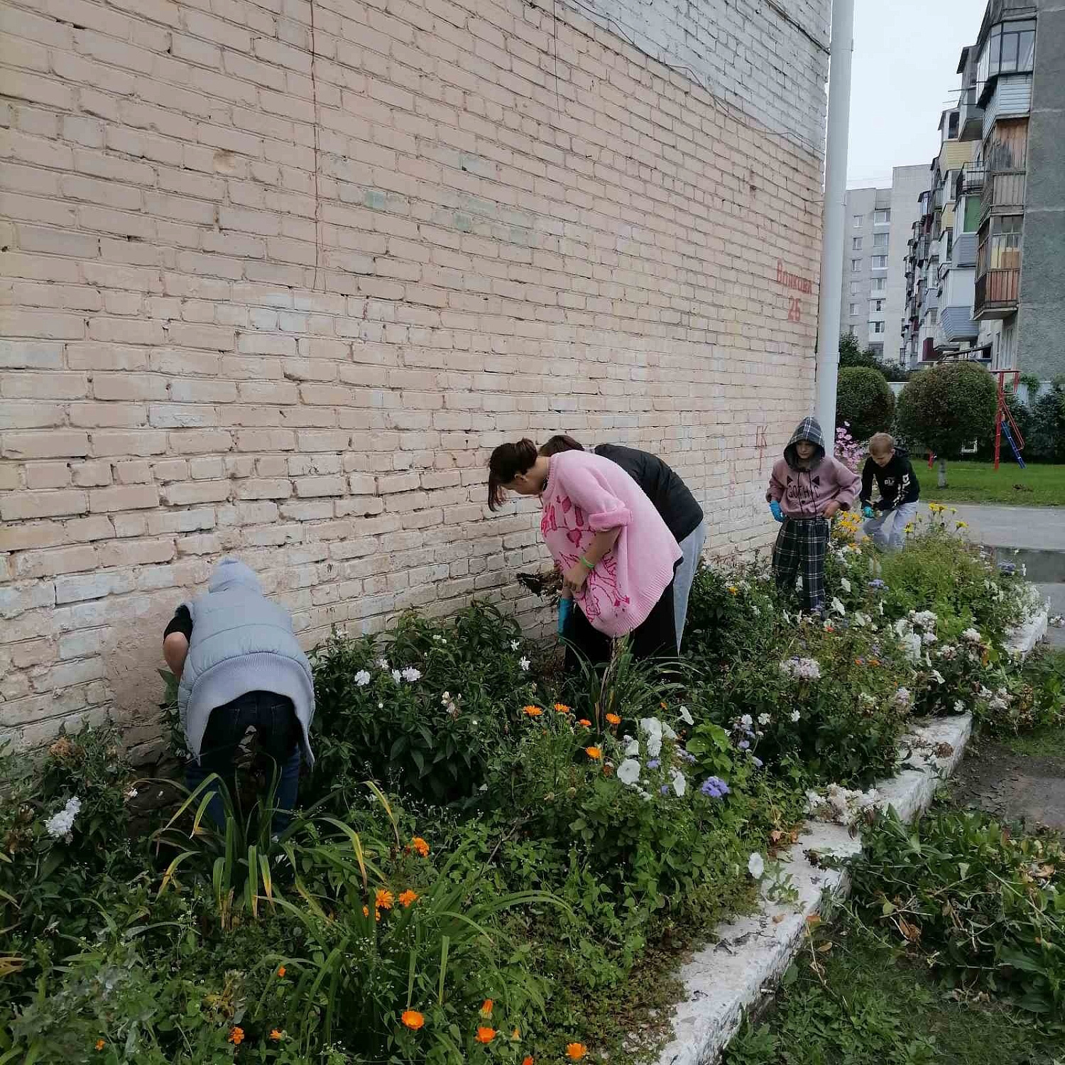 С приходом осени, пришла пора уборки территории.