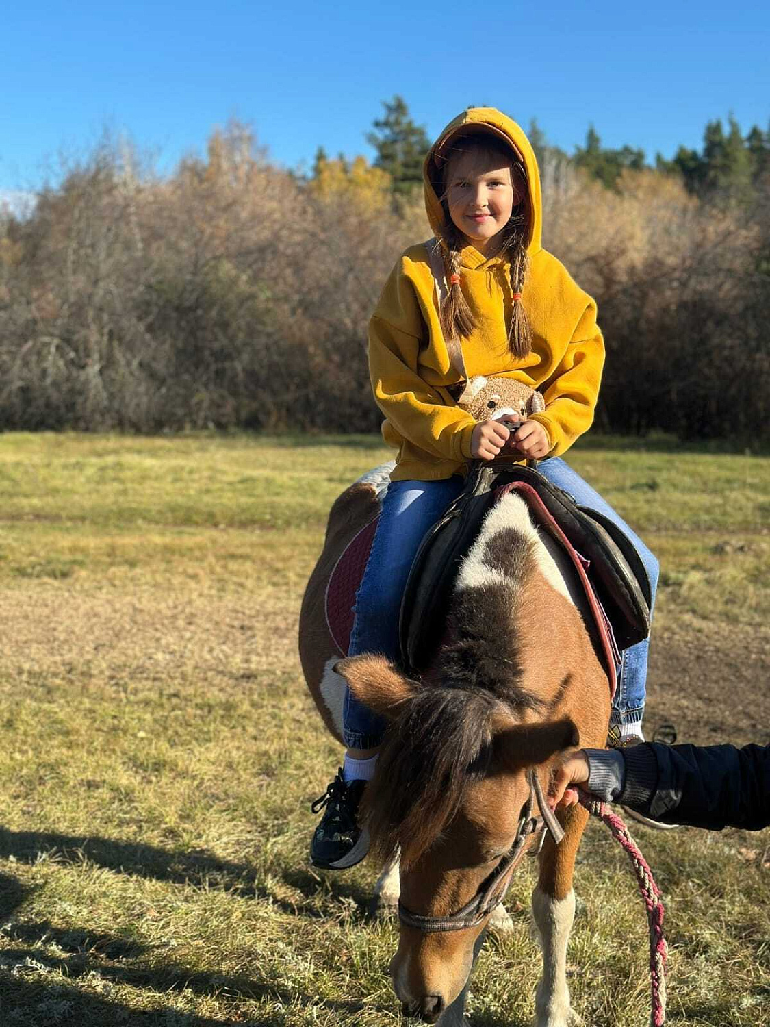 Нашим ребятам невероятно повезло посетить замечательное место — конный клуб "Блеск Виконте".