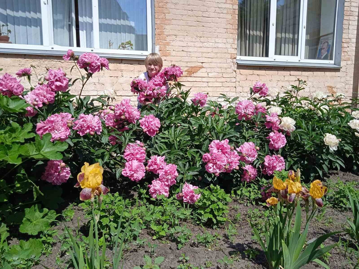 Кажется, ещё вчера возились с рассадой, высаживали, следили, как приживались саженцы, а сегодня радуемся пышному цветению клумб!